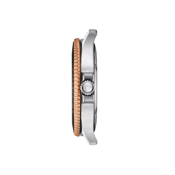 Tissot Seastar 1000 40mm
                                
                                
                                    T120.410.22.051.01 - Image 2