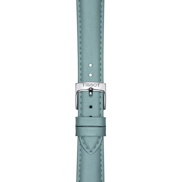 Tissot Carson Premium 32mm
                                
                                
                                    T122.223.16.353.00 - Image 4